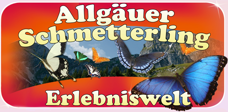 (c) Schmetterling-erlebniswelt.de